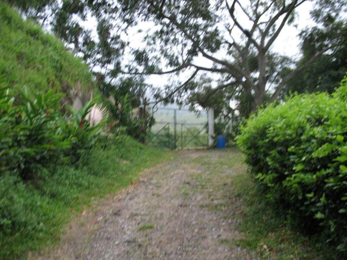 Hostel Finca La Gordita Calabazo  Exterior foto