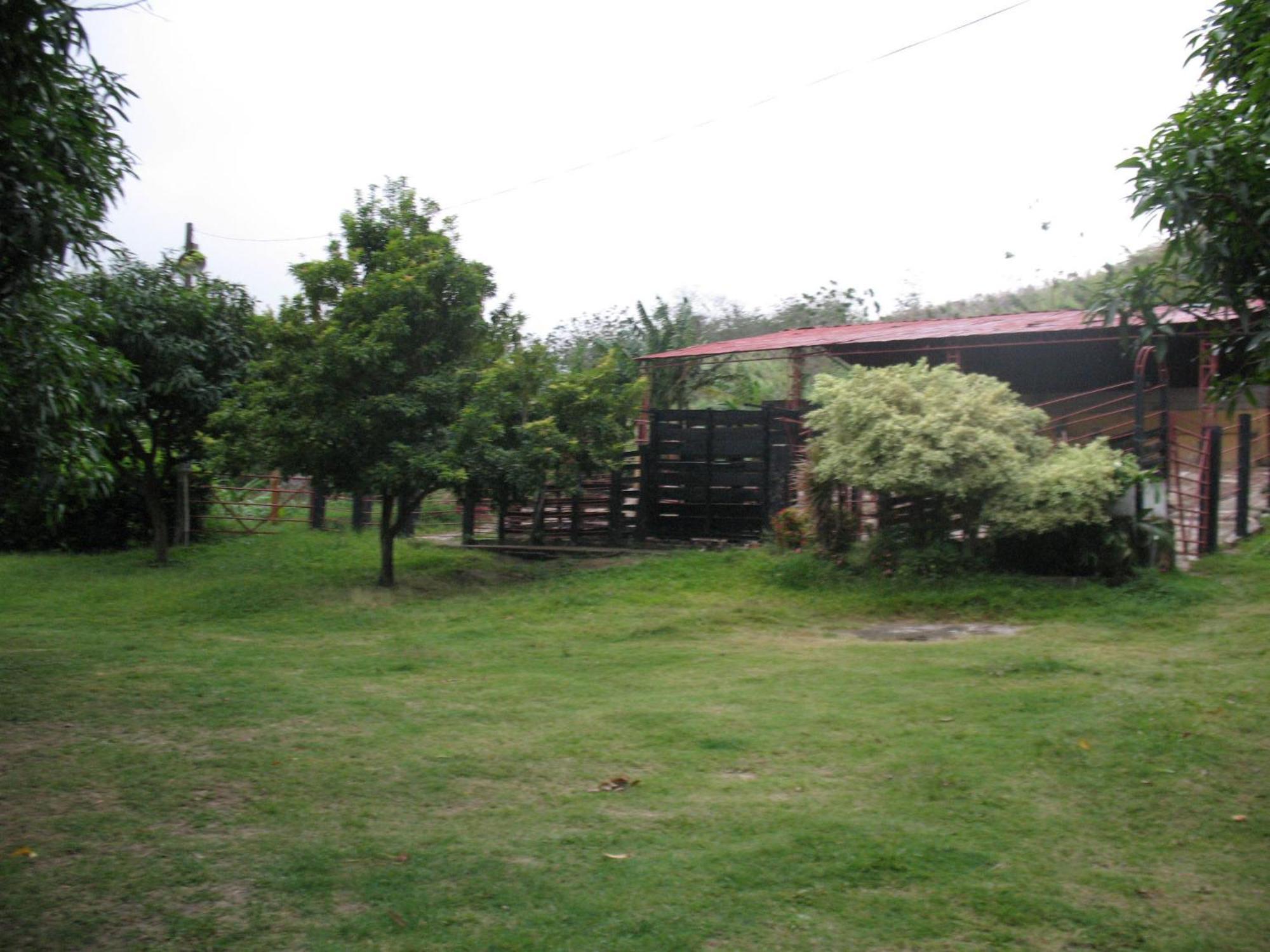 Hostel Finca La Gordita Calabazo  Exterior foto